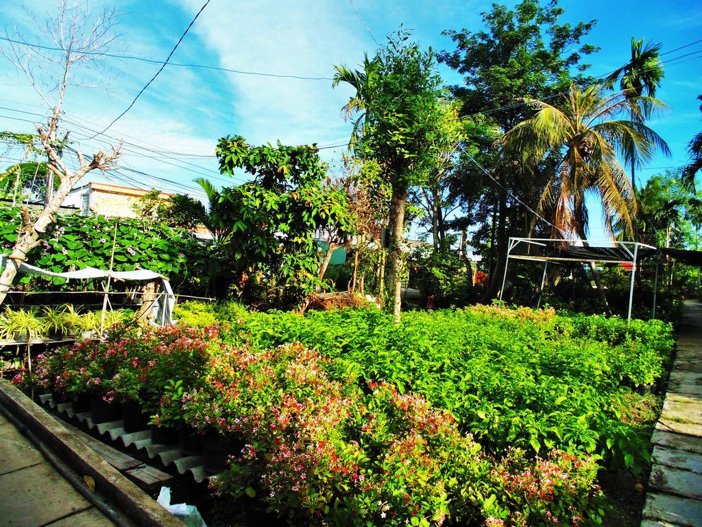 Flower & Frog Homestay Sa Dec Kültér fotó